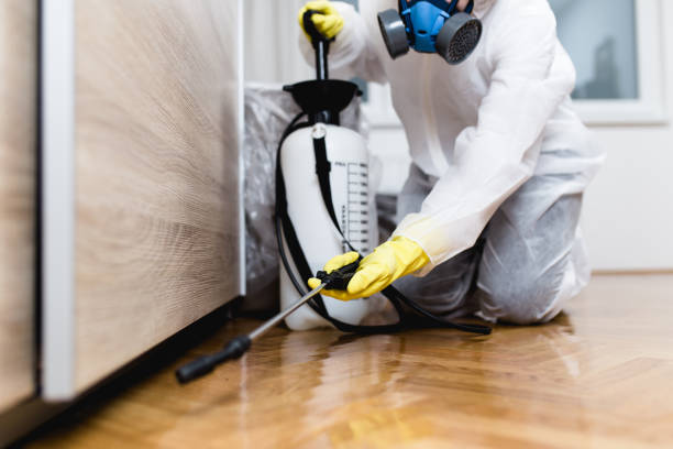 Best Local Pest Control Services  in Olivet, TN
