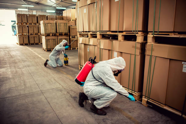 Best Mosquito Control Services  in Olivet, TN