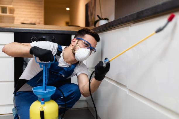 Best Best Pest Control Companies  in Olivet, TN