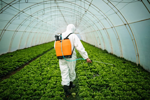 Best Pest Prevention Services  in Olivet, TN