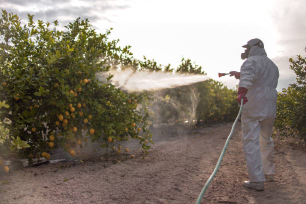 Best Exterminator Services  in Olivet, TN