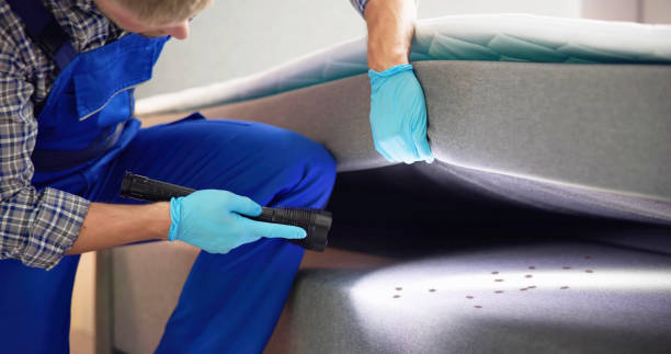 Best Pest Inspection Near Me  in Olivet, TN