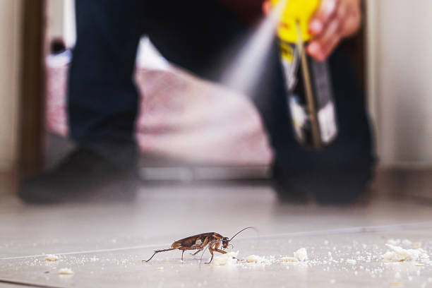 Best Wildlife Control Services  in Olivet, TN
