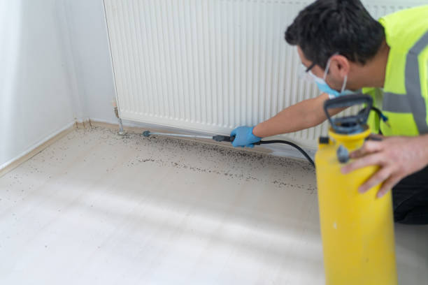 Pest Prevention Services in Olivet, TN