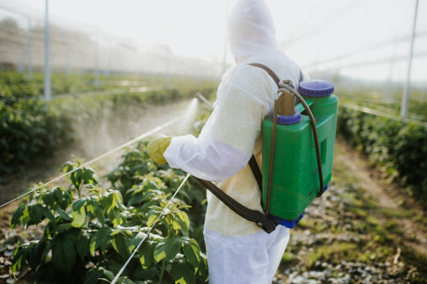 Best Wasp Removal Services  in Olivet, TN